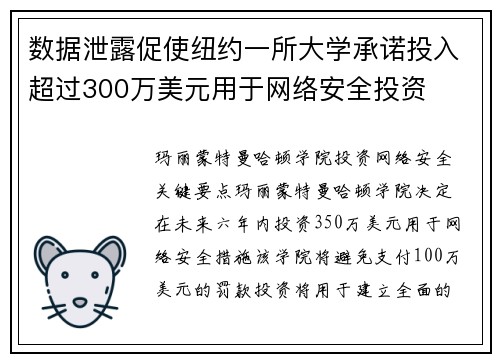 数据泄露促使纽约一所大学承诺投入超过300万美元用于网络安全投资